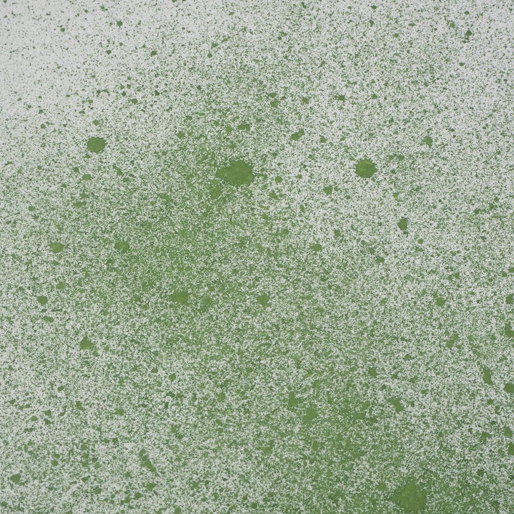 Cosmic Shimmer Botanical Spray - Herb Green
